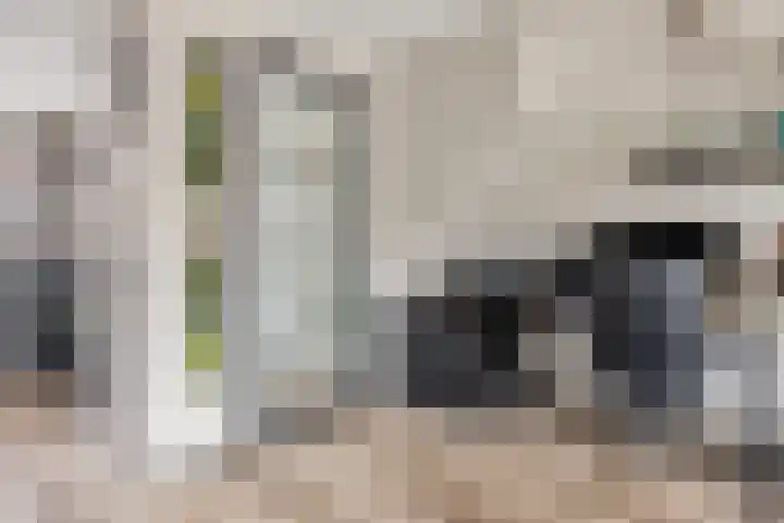 Boterbloem 9 't Veld thumbnail 13