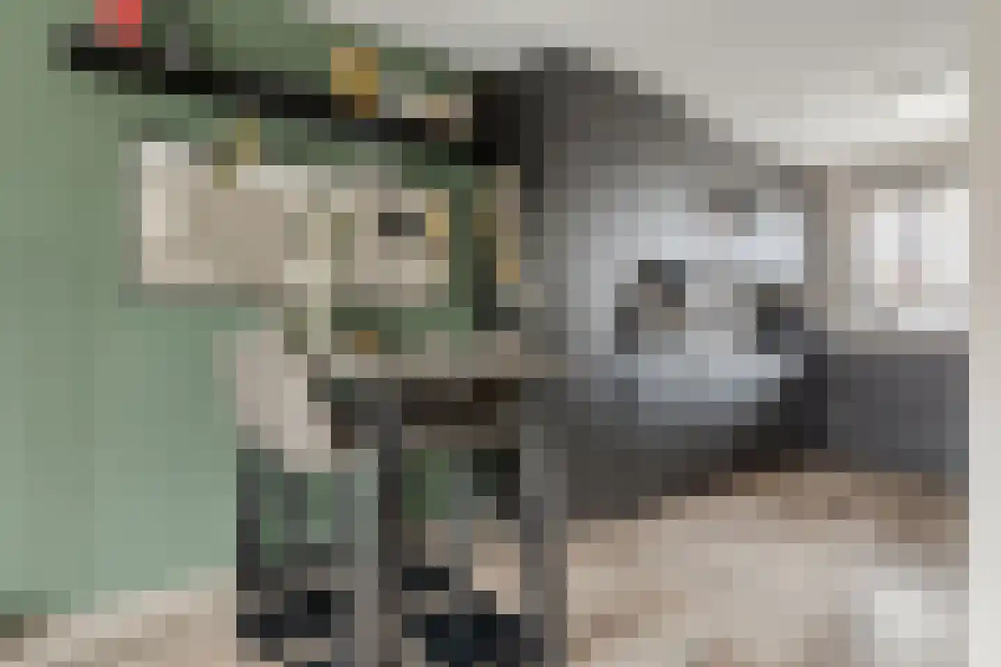 Boterbloem 9 't Veld thumbnail 14