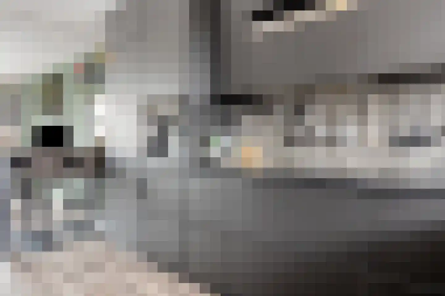 Boterbloem 9 't Veld thumbnail 16