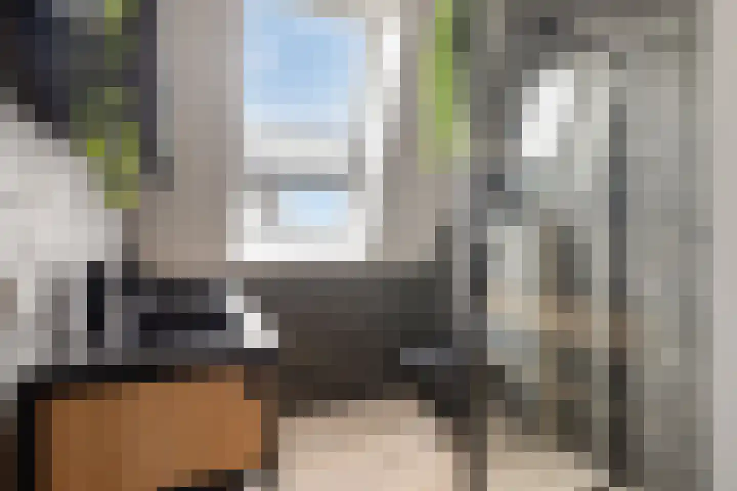 Boterbloem 9 't Veld thumbnail 20