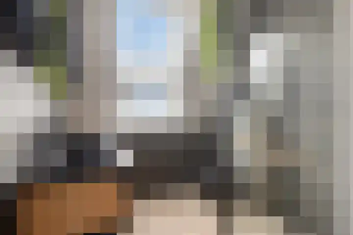 Boterbloem 9 't Veld thumbnail 20