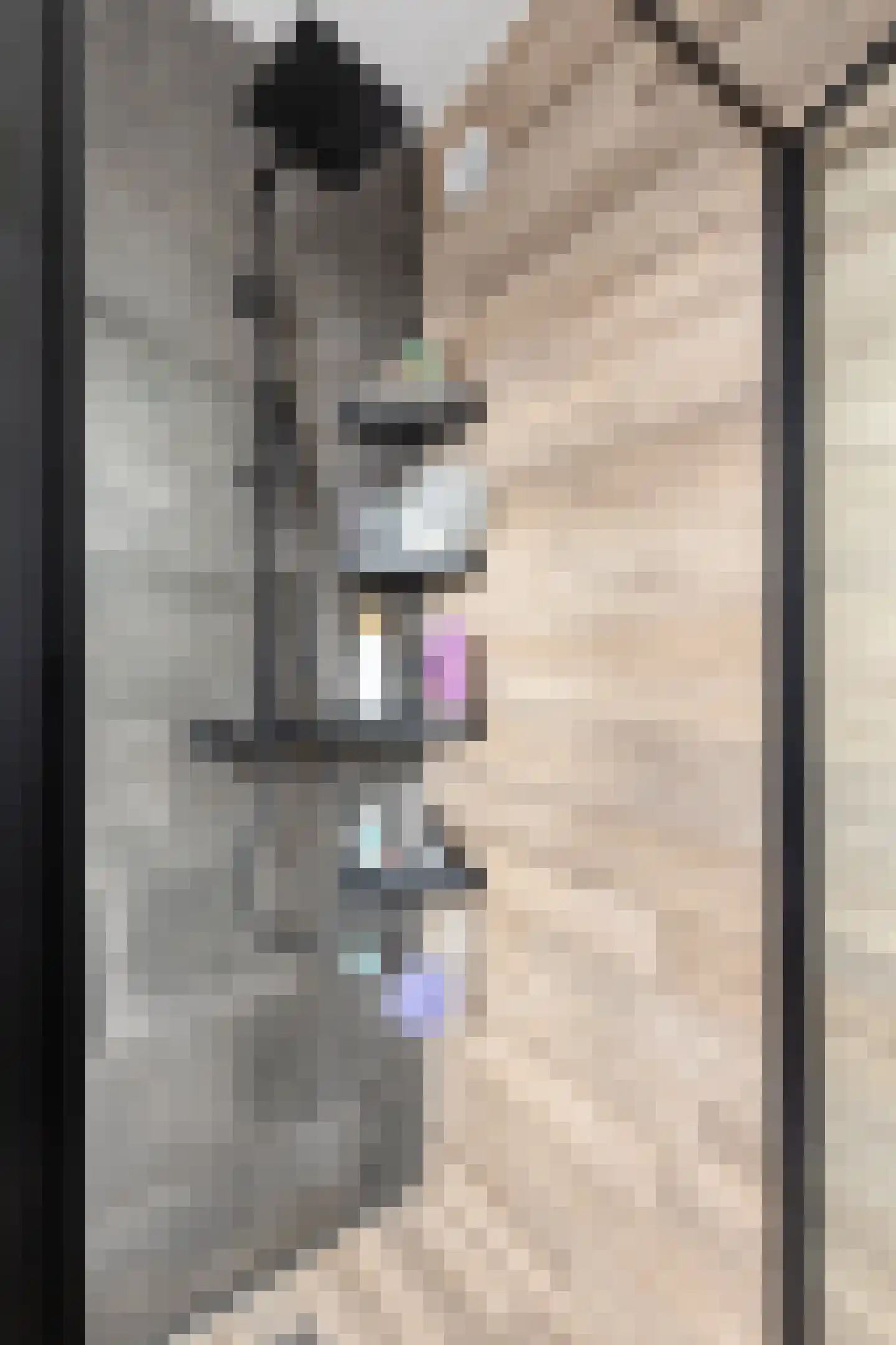 Boterbloem 9 't Veld thumbnail 21