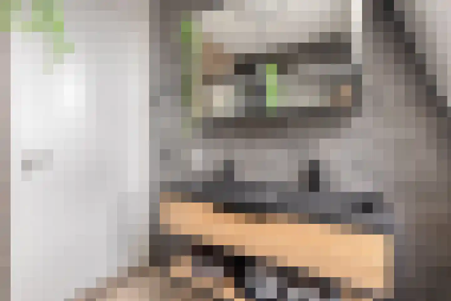 Boterbloem 9 't Veld thumbnail 23