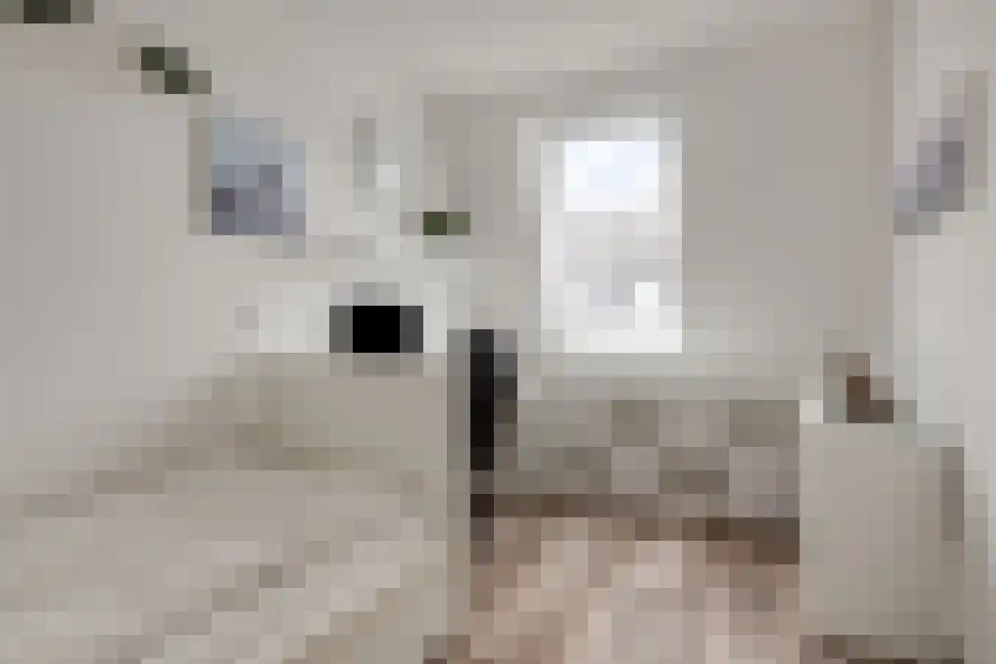 Boterbloem 9 't Veld thumbnail 24