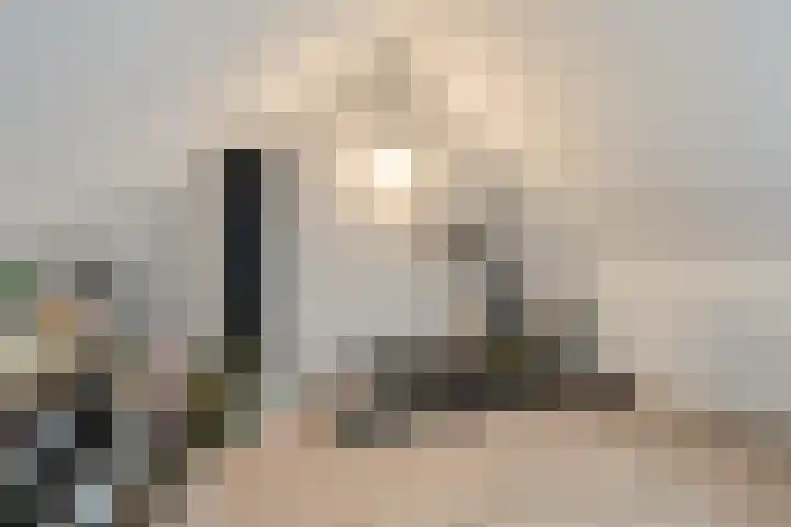 Boterbloem 9 't Veld thumbnail 27