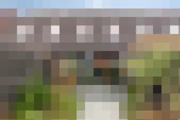 Boterbloem 9 't Veld thumbnail 30