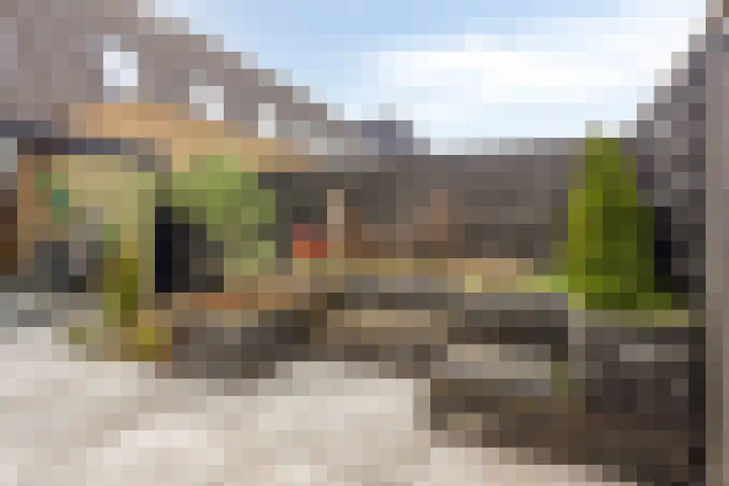Boterbloem 9 't Veld thumbnail 32