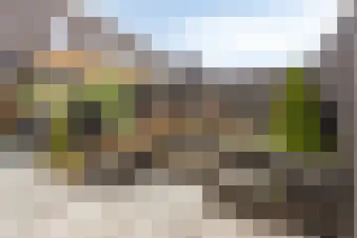 Boterbloem 9 't Veld thumbnail 32