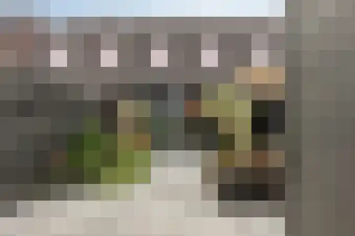 Boterbloem 9 't Veld thumbnail 33