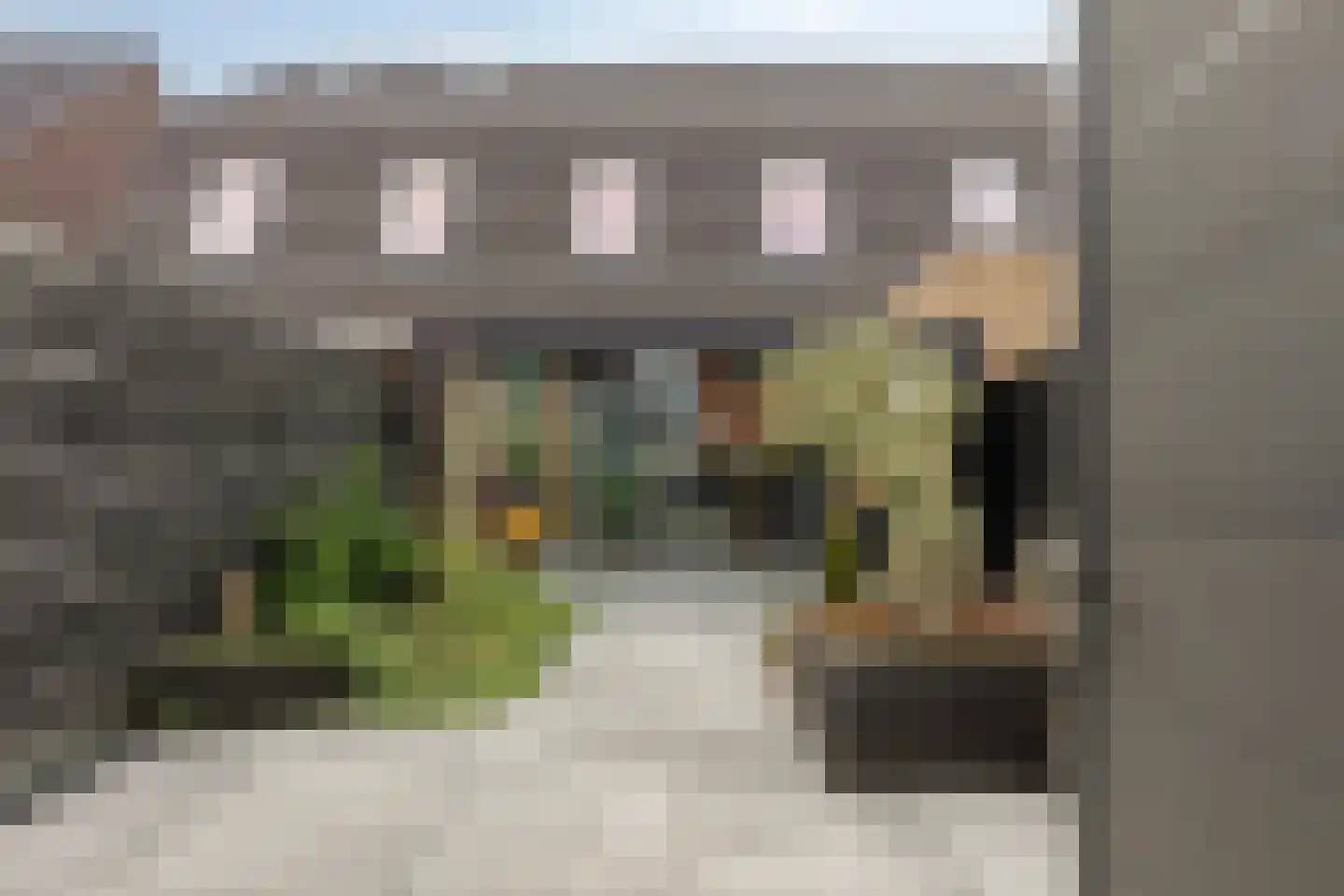 Boterbloem 9 't Veld thumbnail 33