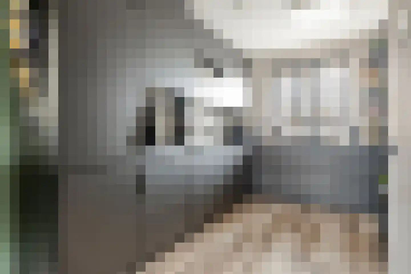 Boterbloem 9 't Veld thumbnail 4