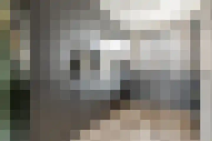 Boterbloem 9 't Veld thumbnail 4