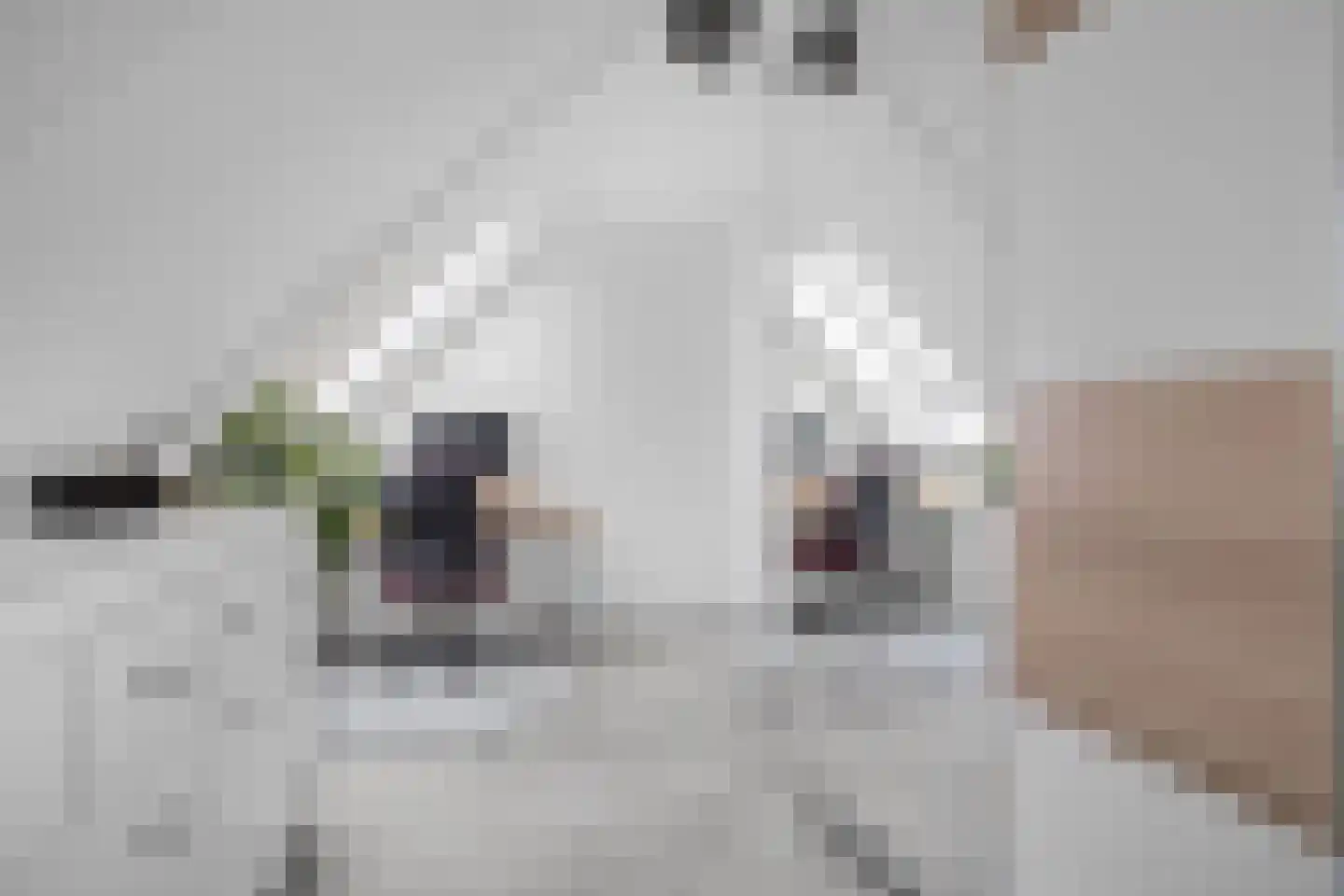Boterbloemdreef 23 Harderwijk thumbnail 31