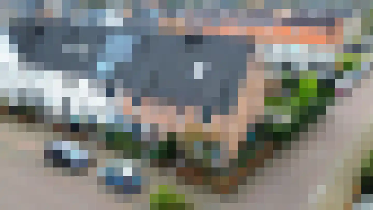 Boterbloemdreef 23 Harderwijk thumbnail 36