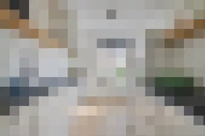 Boterbloemdreef 5 Harderwijk thumbnail 11