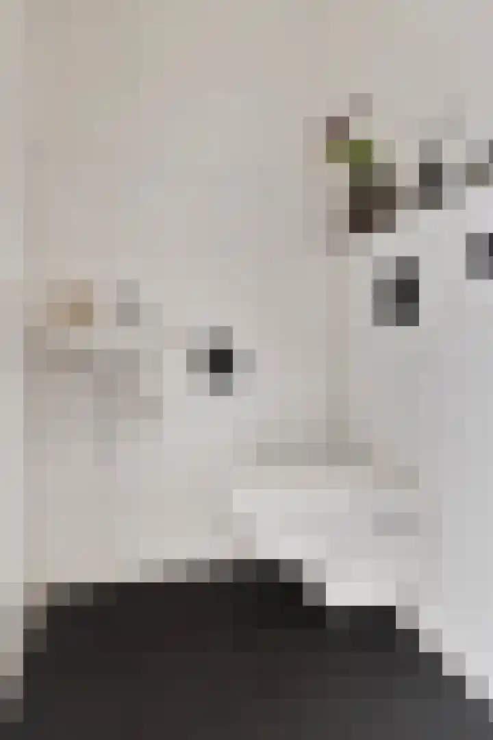 Boterbloemdreef 5 Harderwijk thumbnail 14