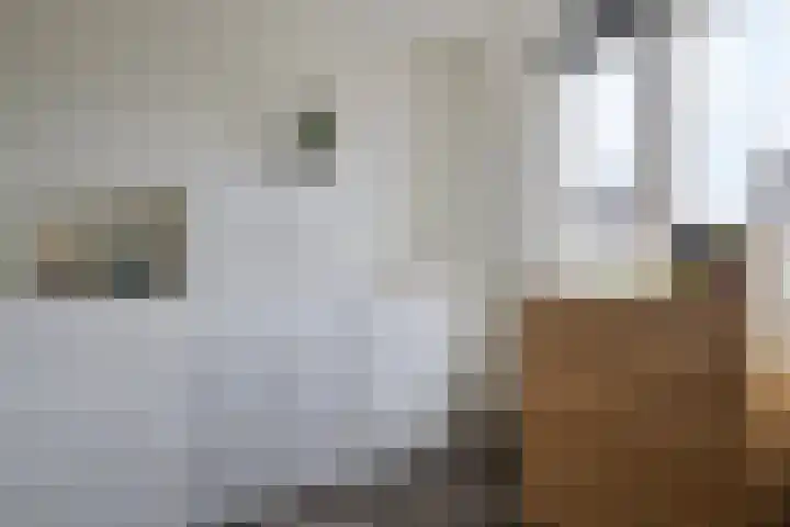 Boterbloemdreef 5 Harderwijk thumbnail 20