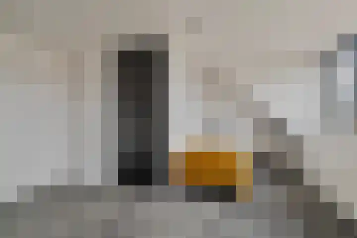 Boterbloemdreef 5 Harderwijk thumbnail 30