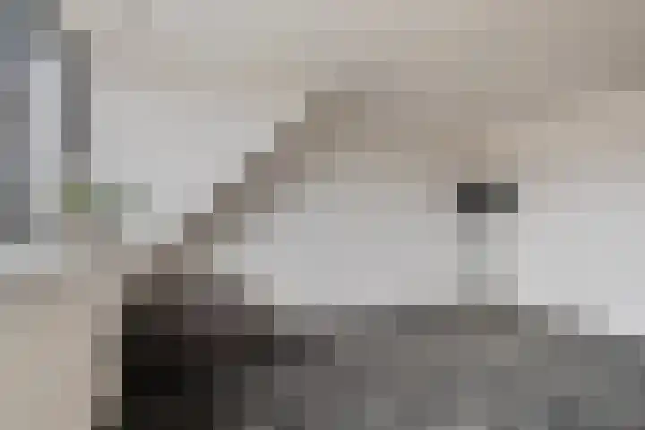 Boterbloemdreef 5 Harderwijk thumbnail 31