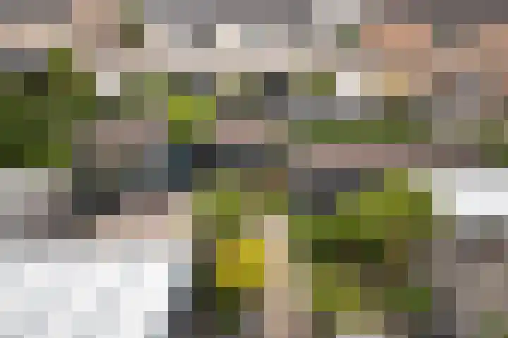 Boterbloemdreef 5 Harderwijk thumbnail 33