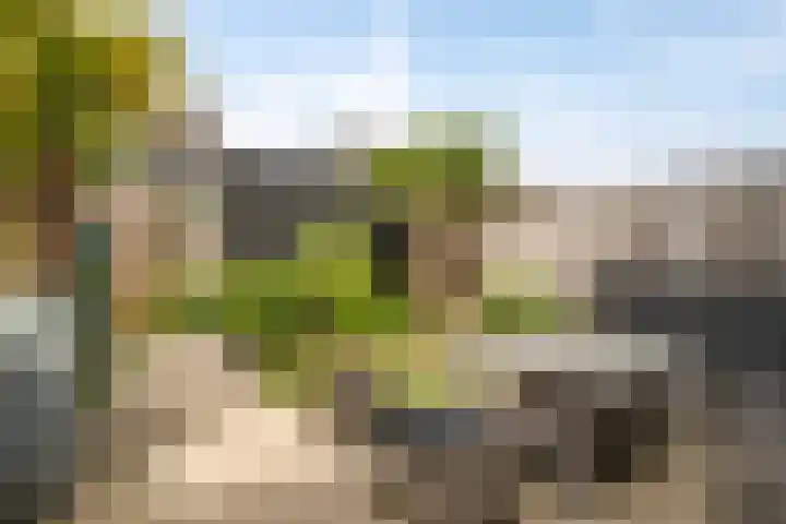 Boterbloemdreef 5 Harderwijk thumbnail 35