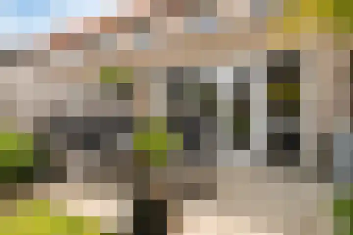 Boterbloemdreef 5 Harderwijk thumbnail 36