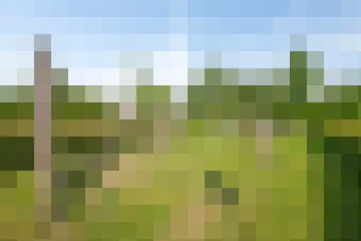 Boterbloemdreef 5 Harderwijk thumbnail 38