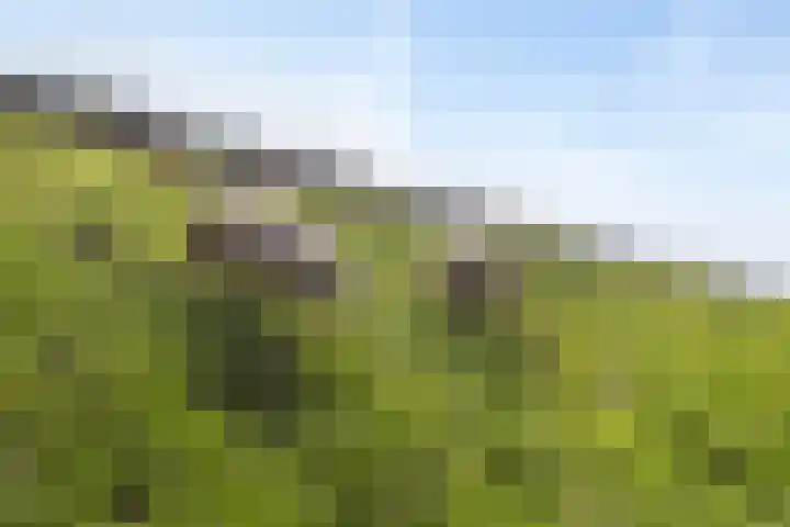 Boterbloemdreef 5 Harderwijk thumbnail 39