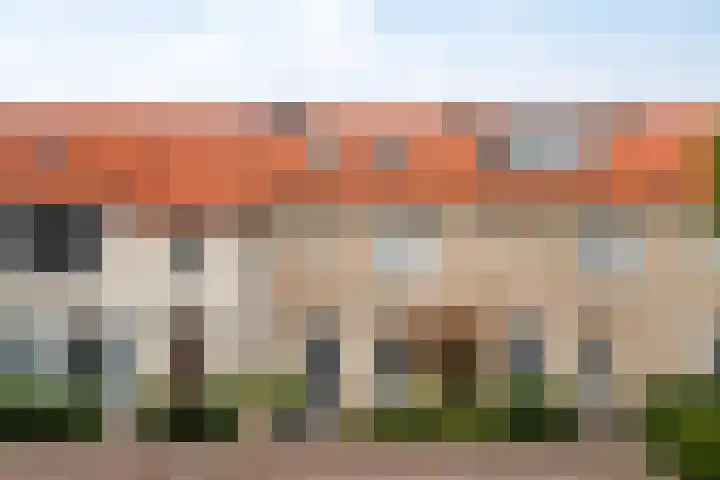 Boterbloemdreef 5 Harderwijk thumbnail 50