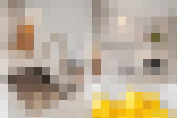 Boterbloemhof 20 Houten thumbnail 23
