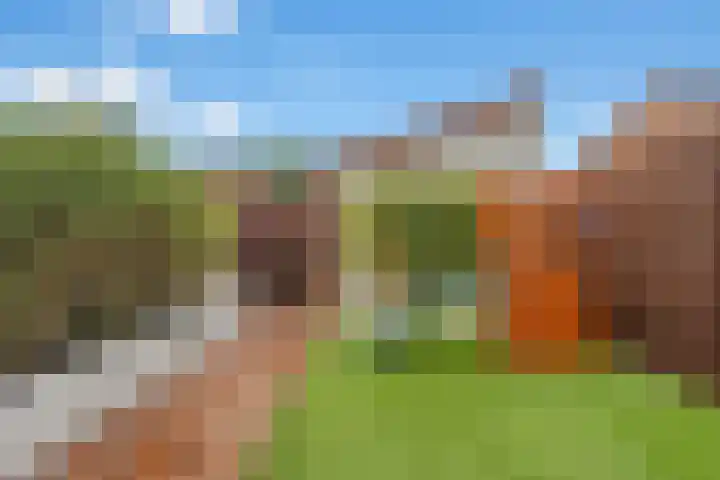 Boterbloemhof 20 Houten thumbnail 25