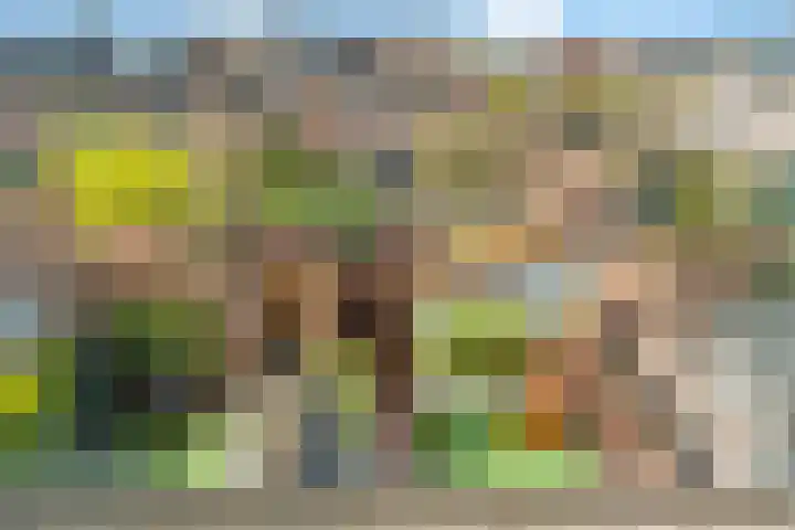Boterbloemhof 20 Houten thumbnail 29