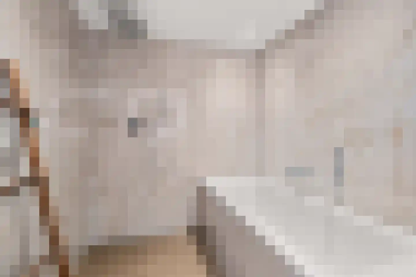 Boterbloemhof 20 Houten thumbnail 38