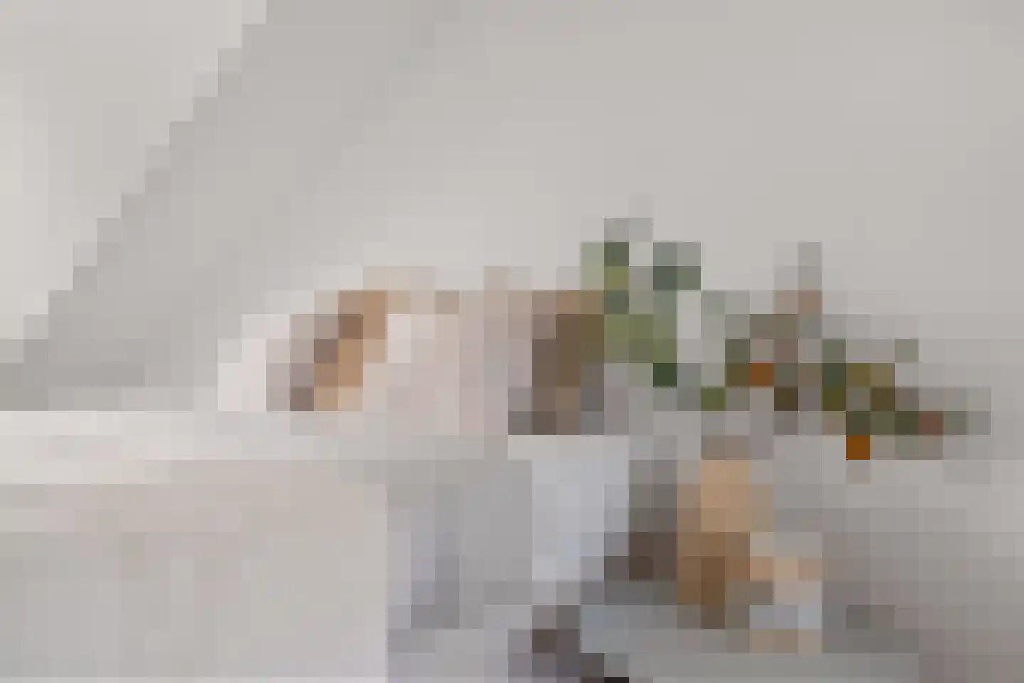 Boterbloemhof 20 Houten thumbnail 42