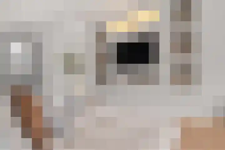 Boterbloemhof 20 Houten thumbnail 6