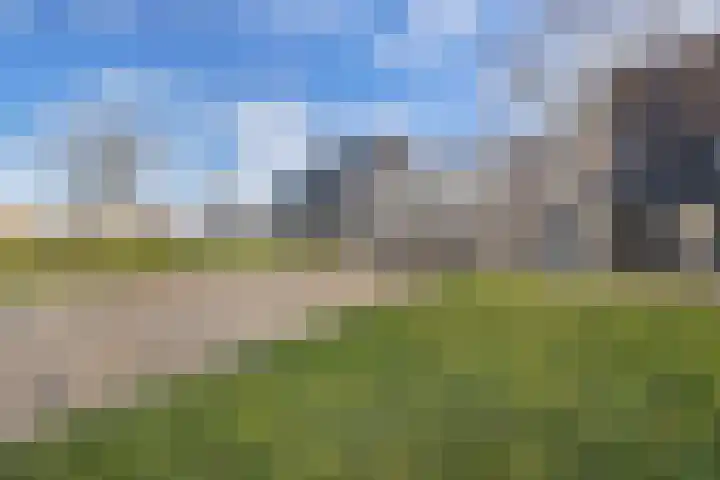 Boterbloemhof 23 Lelystad thumbnail 30