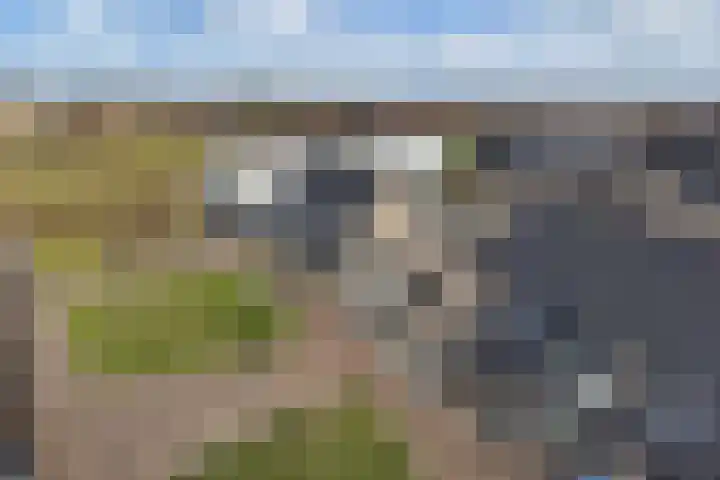 Boterbloemhof 23 Lelystad thumbnail 31