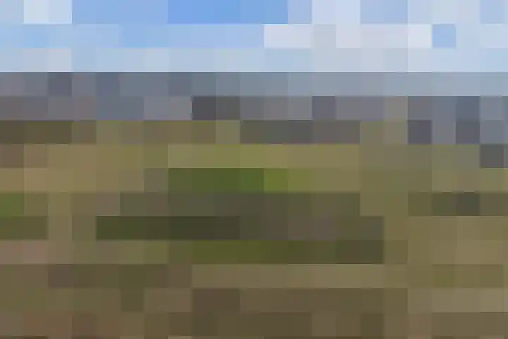 Boterbloemhof 23 Lelystad thumbnail 33