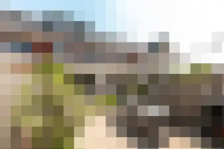 Boterbloemhof 96 Lelystad thumbnail 32