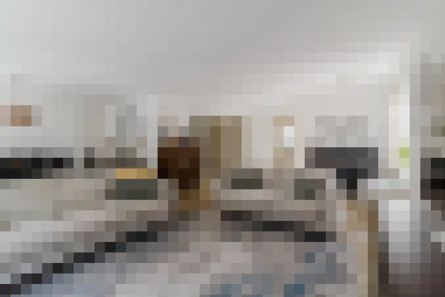 Boterbloemlaan 4 Zoeterwoude thumbnail 11
