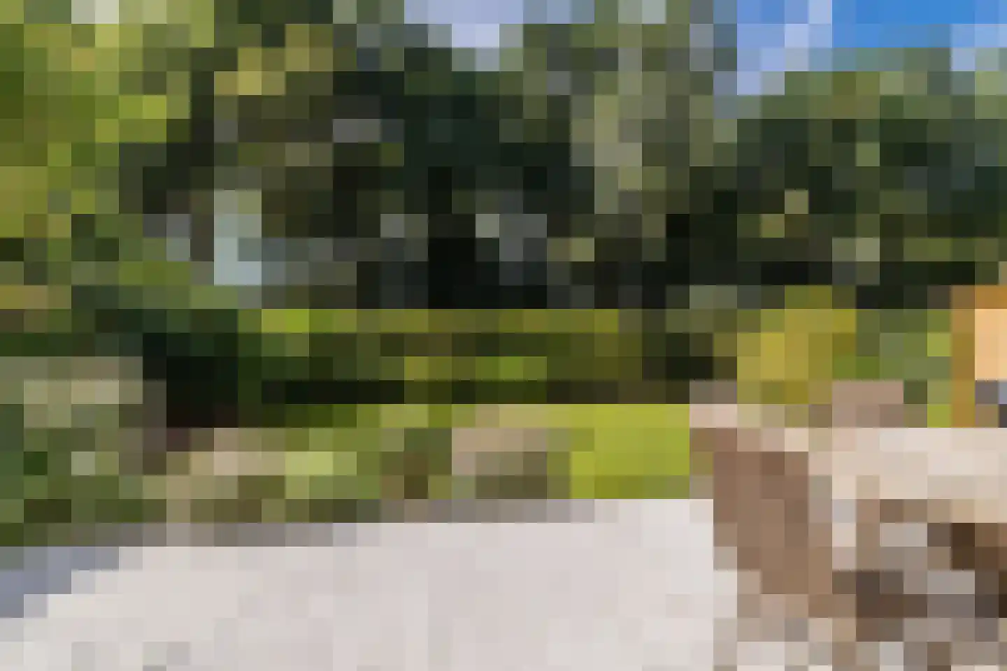 Boterbloemlaan 4 Zoeterwoude thumbnail 13