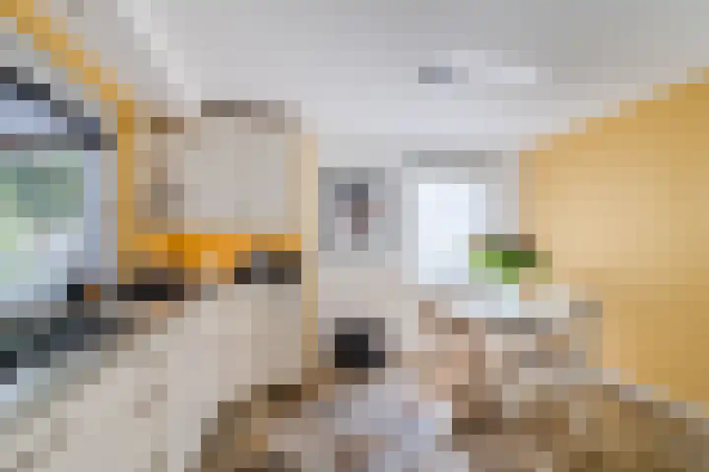 Boterbloemlaan 4 Zoeterwoude thumbnail 17