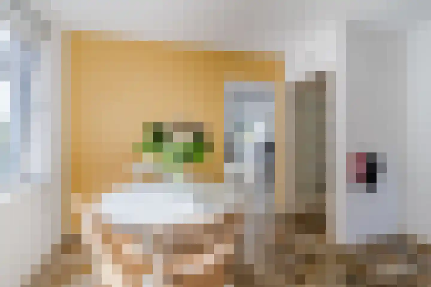 Boterbloemlaan 4 Zoeterwoude thumbnail 20