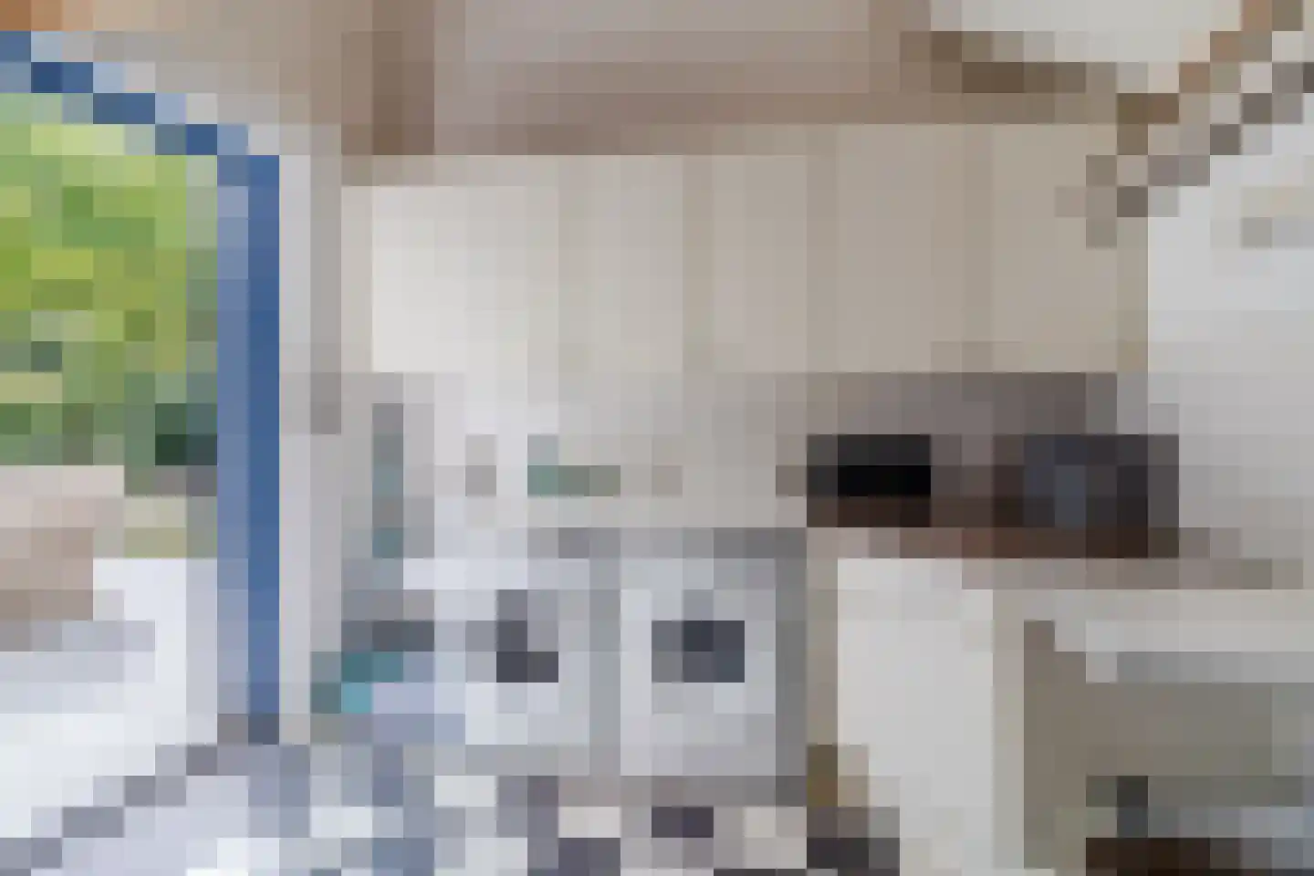 Boterbloemlaan 4 Zoeterwoude thumbnail 21