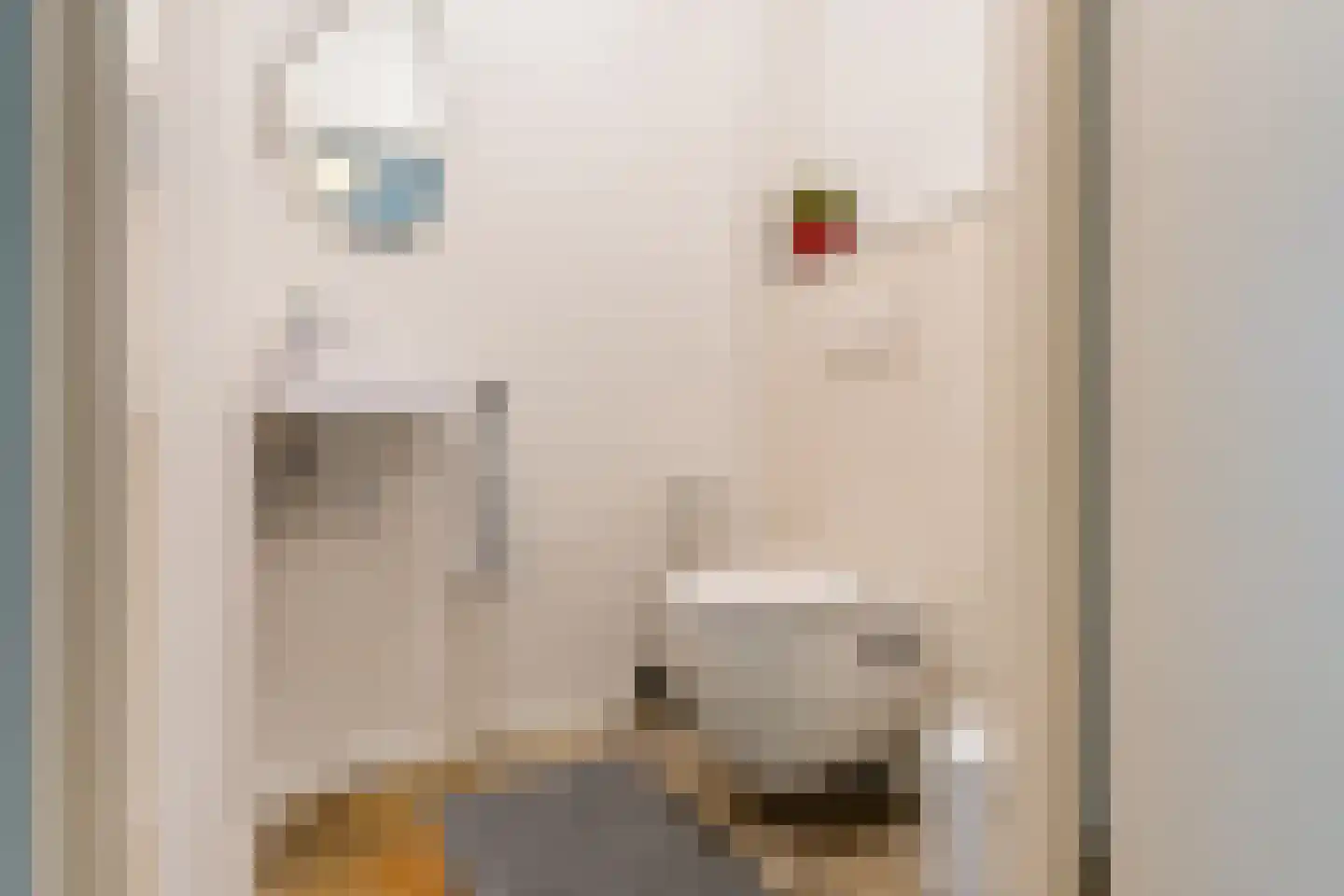 Boterbloemlaan 4 Zoeterwoude thumbnail 24