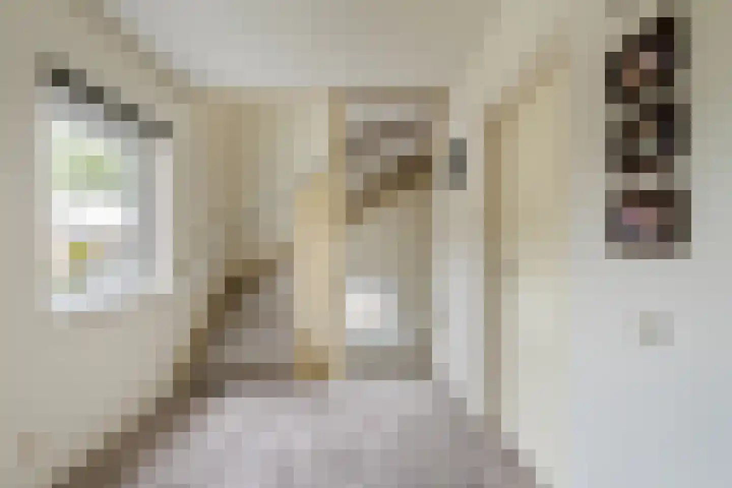 Boterbloemlaan 4 Zoeterwoude thumbnail 25