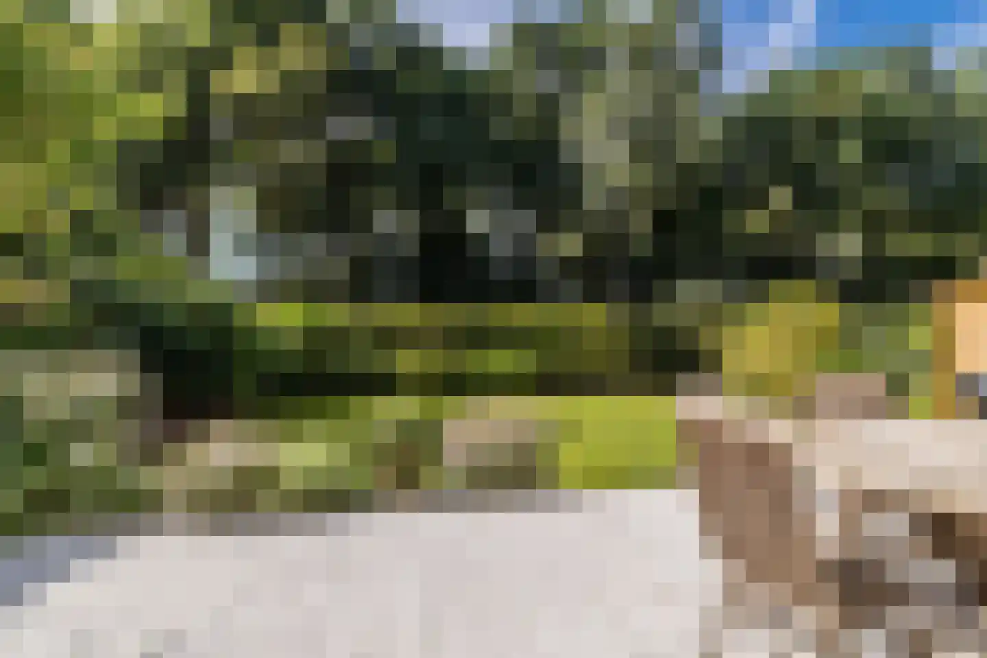 Boterbloemlaan 4 Zoeterwoude thumbnail 4