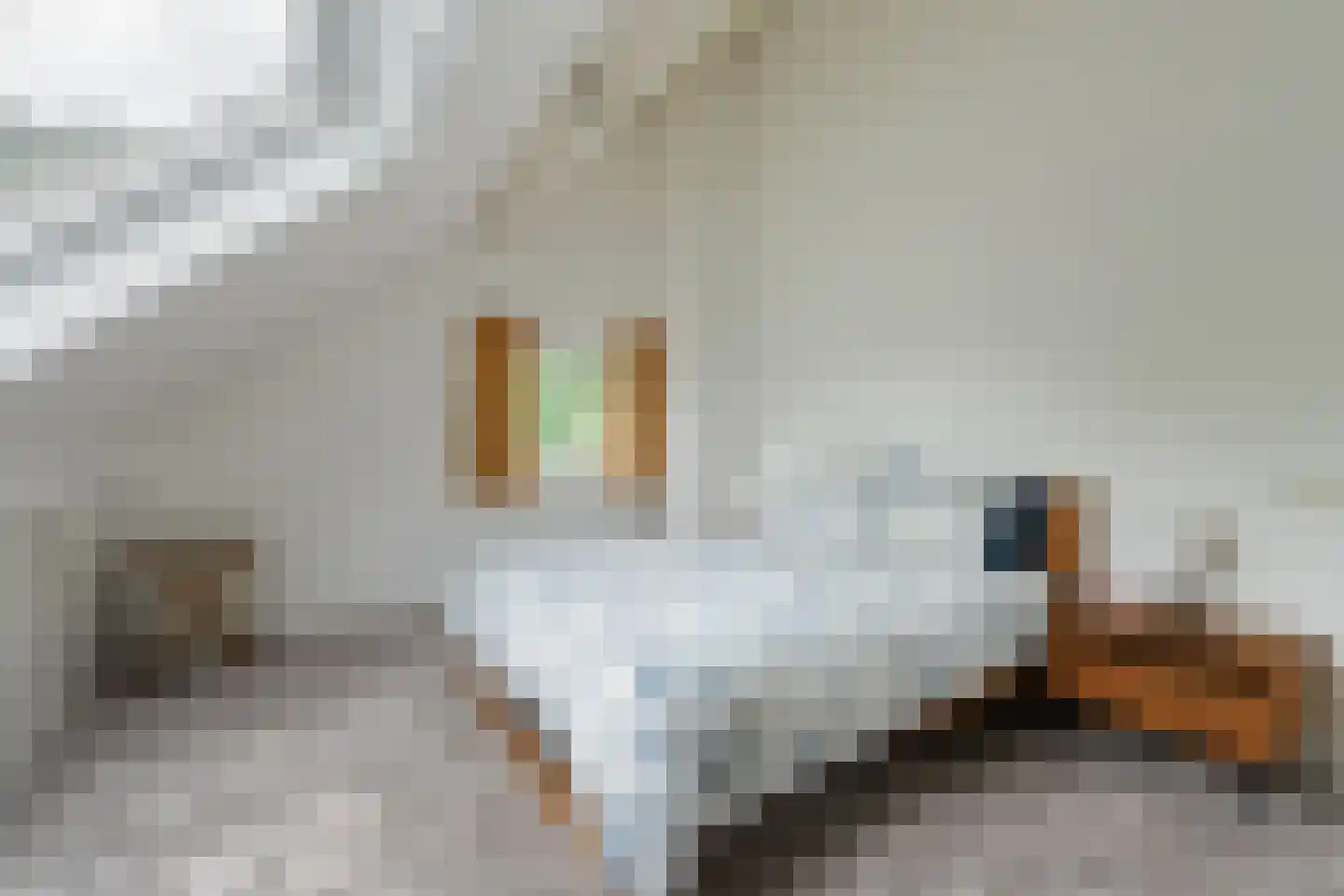 Boterbloemlaan 4 Zoeterwoude thumbnail 43