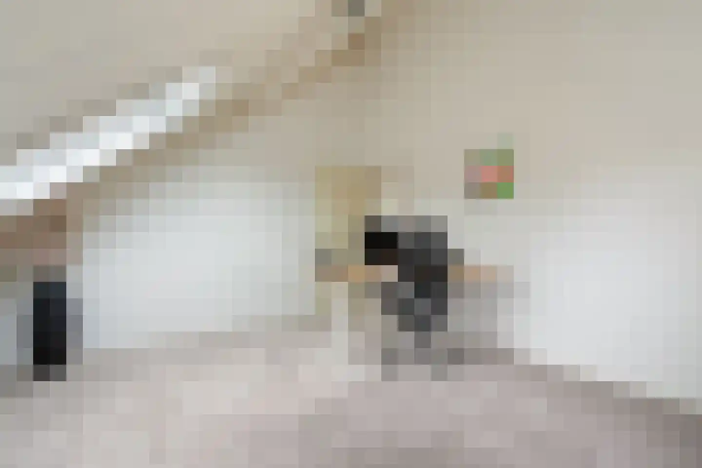 Boterbloemlaan 4 Zoeterwoude thumbnail 47