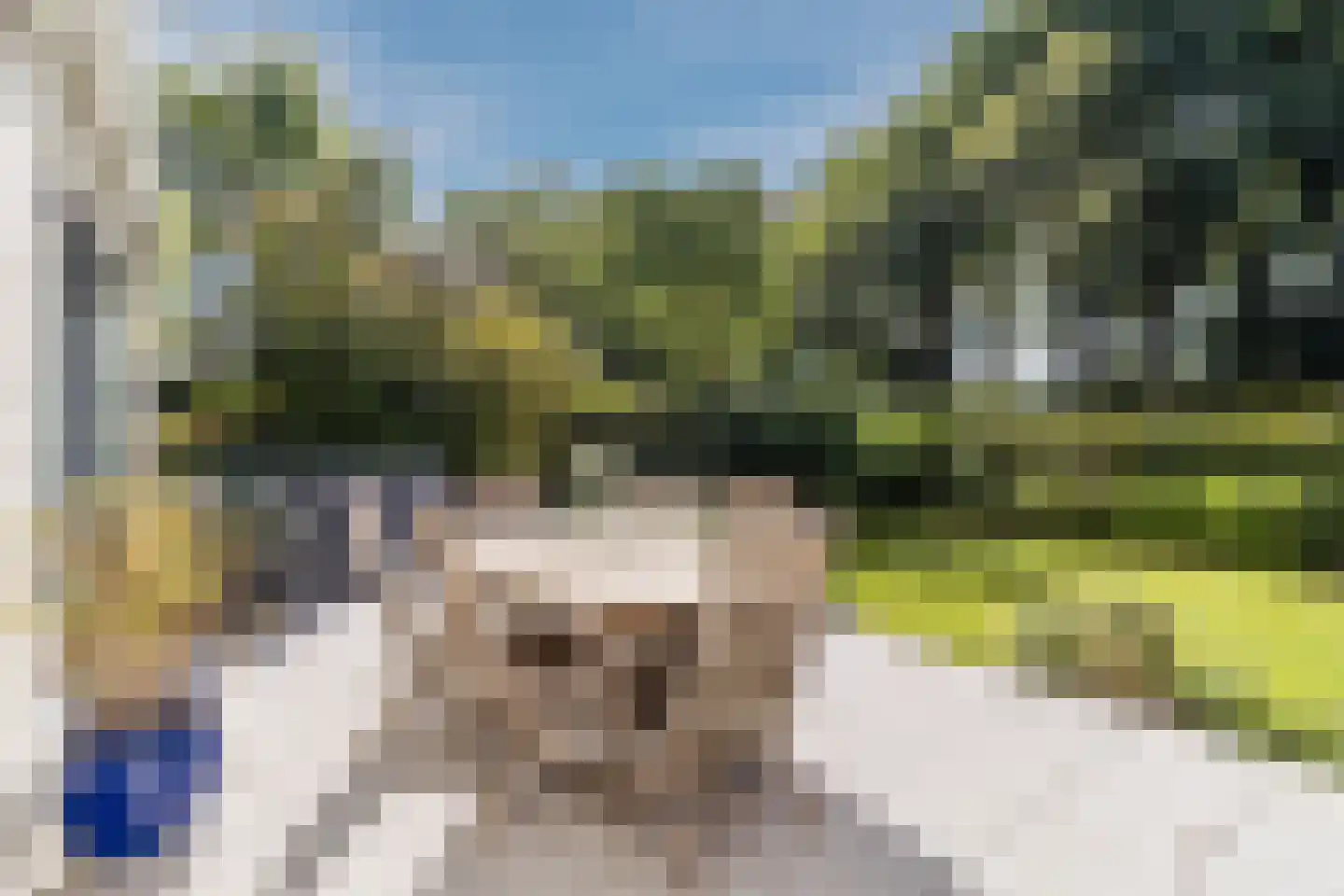 Boterbloemlaan 4 Zoeterwoude thumbnail 53